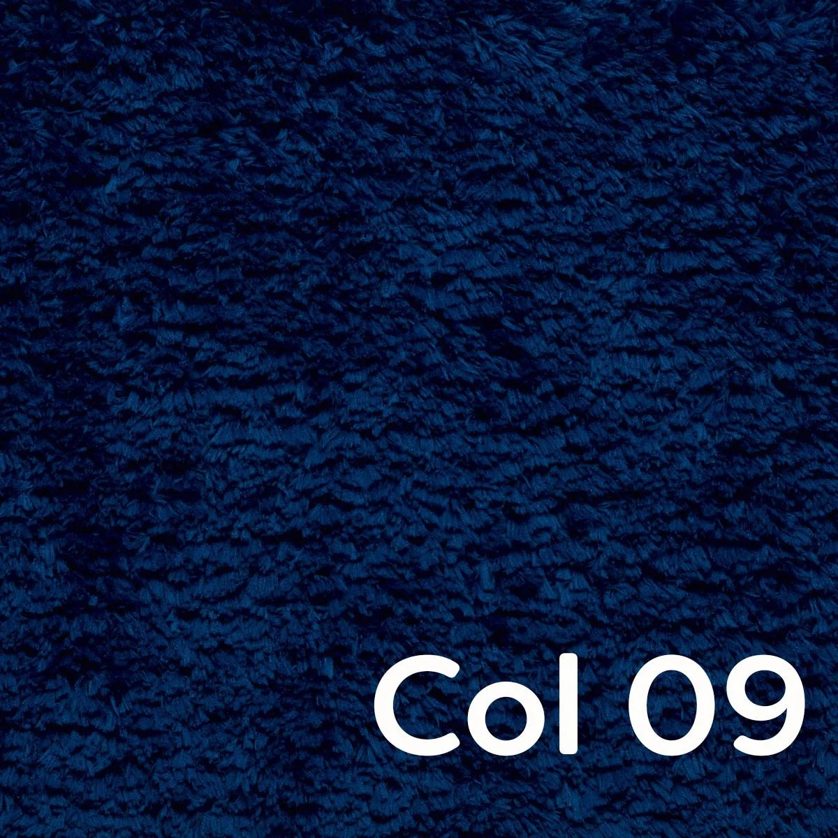 Peacock - Image 11