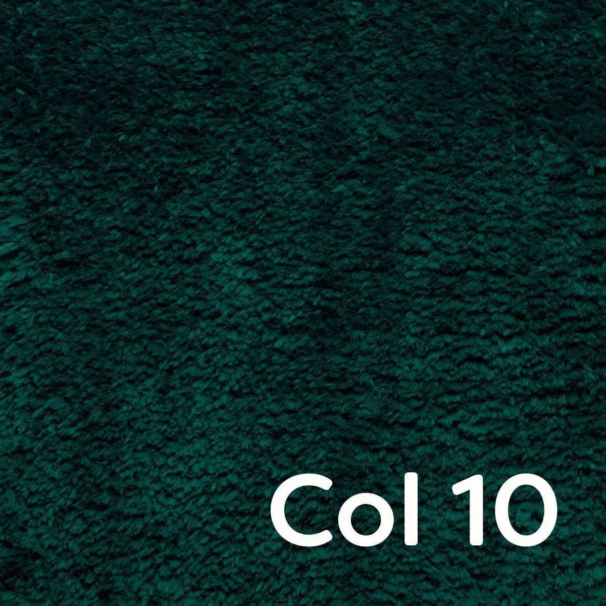 Peacock - Image 12