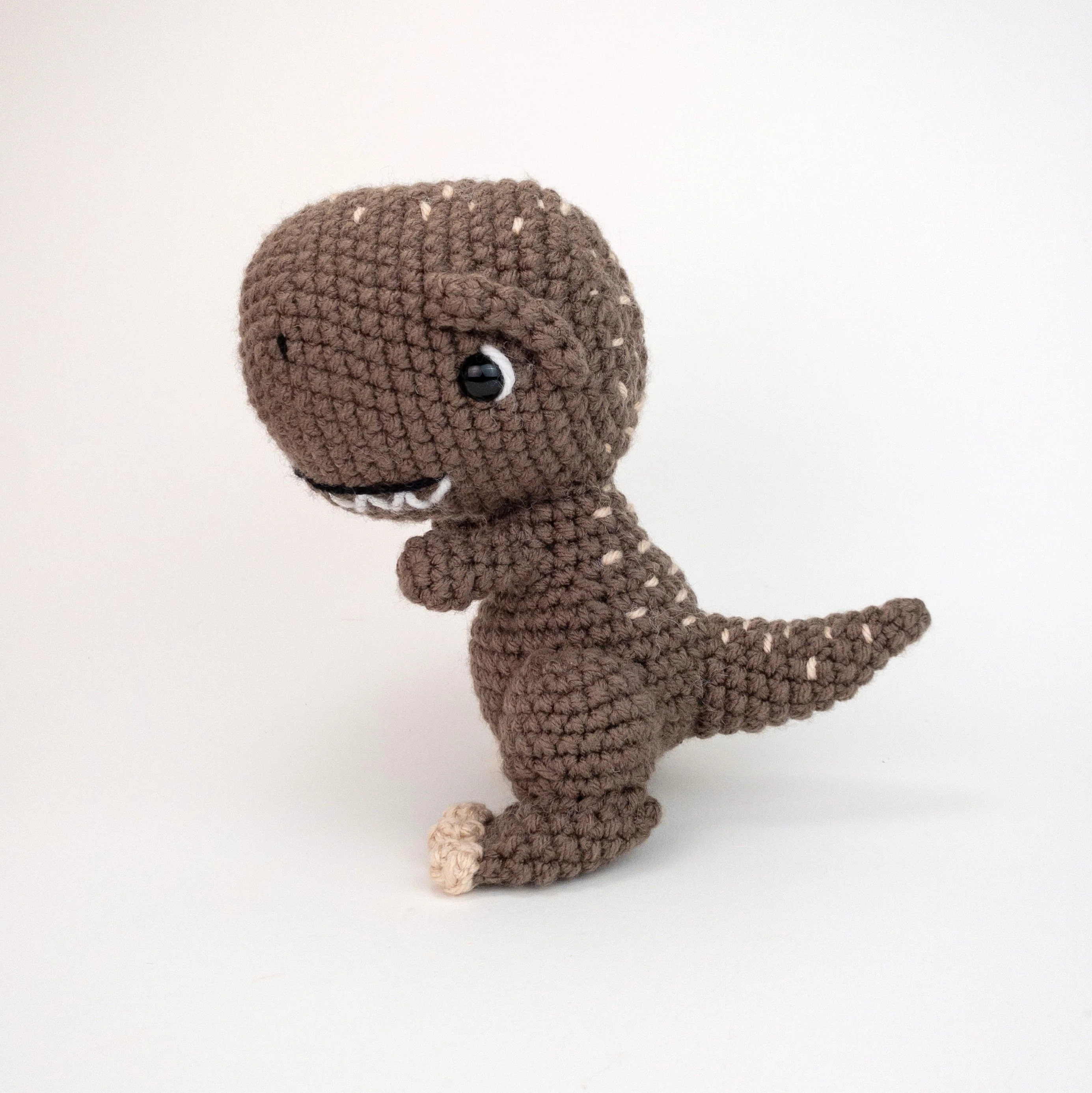 Troy the T-Rex - Image 4